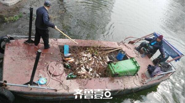 大明湖的生态遭破坏!每天百斤死鱼,多是放生鱼