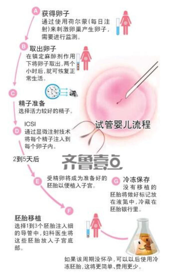 国内私立试管医院排名前十位的有哪些