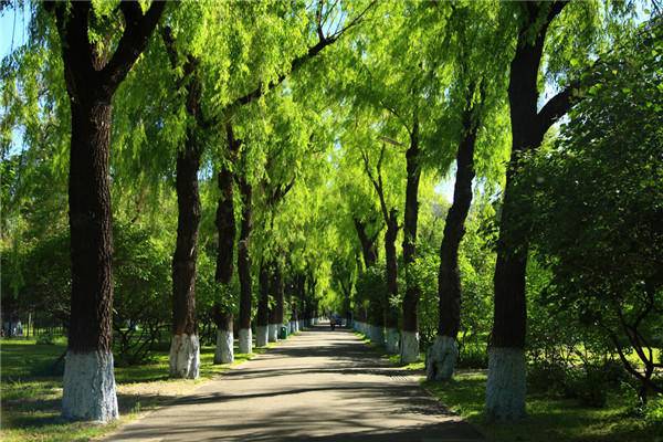 哈尔滨工业大学--规格严格,功夫到家