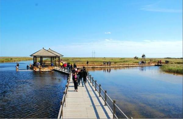东营 — 黄河口湿地生态旅游区