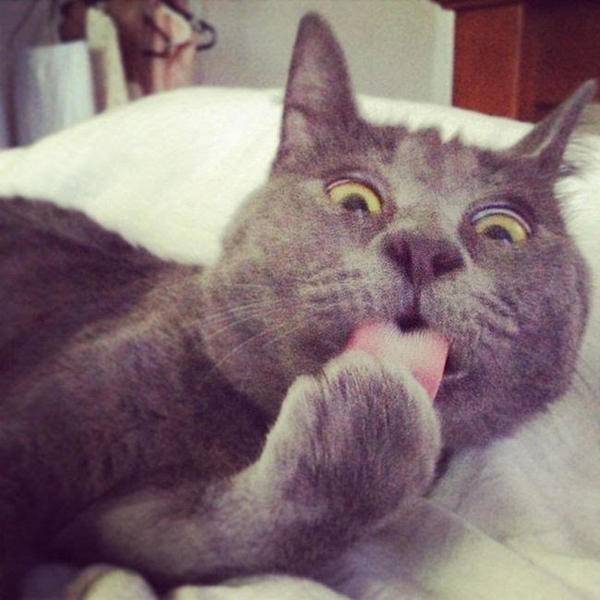 神评论|领导,听说明天下大雨,可以不用来上班了