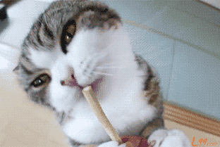 这年头,有车有房也不行,还得有条小船 .