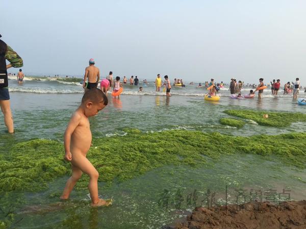 连遇桑拿天，青岛浴场全是人，一浴日接游客15万