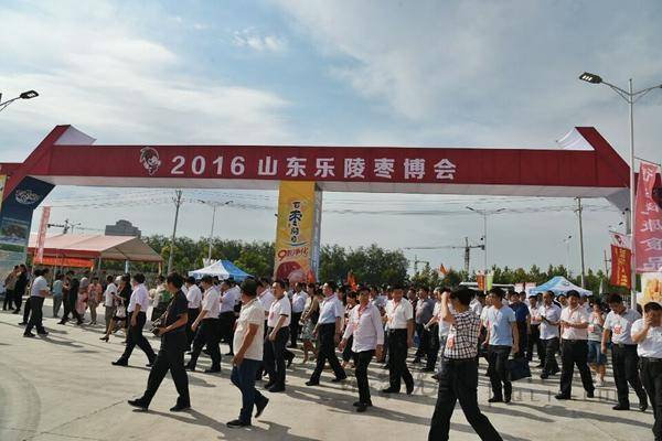 枣·乐丨近500家企业乐陵枣博会赶大集