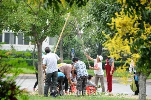 注意了!路边的银杏果有毒!临沂一两岁儿童吃过