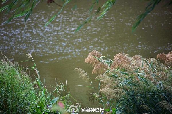 岛城全线入秋，今年夏天比往年长半个月，下雨仍偏少