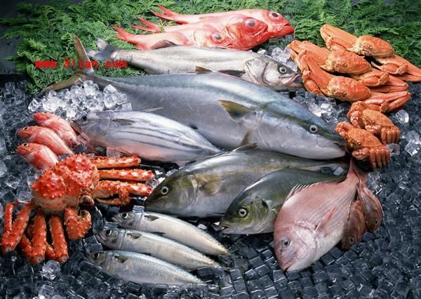 青岛水产品抽检，海水鱼惊现抗生素，贝类镉超标
