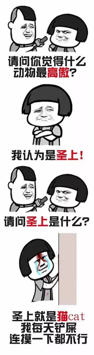 什么动物最高傲?请你放尊重一些!