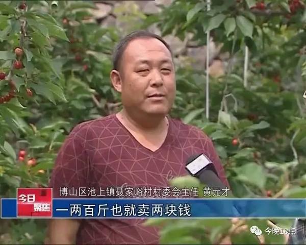 博山区池上镇聂家峪村党支部书记 黄元才