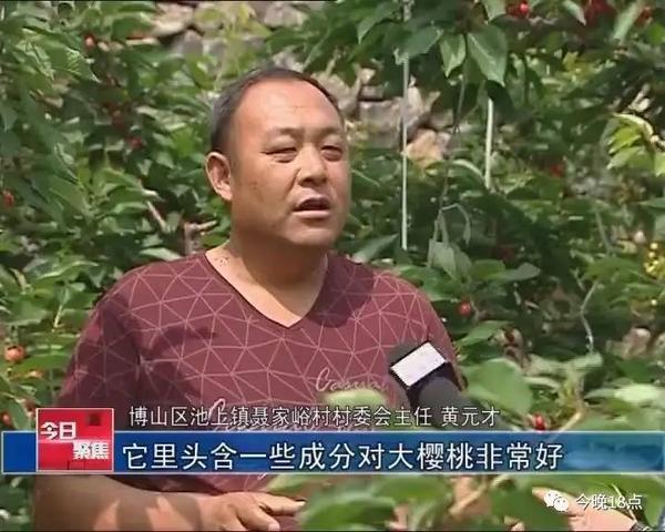 博山区池上镇聂家峪村党支部书记 黄元才