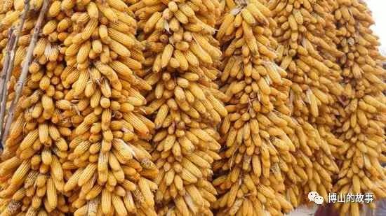 美丽乡村--源泉镇西高村