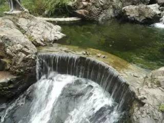 看滨州美景如此多娇,走进鹤伴山国家森林