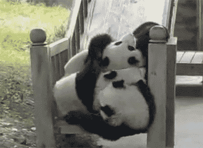 当熊猫被画进名画,这颜值这萌度无人能挡了!