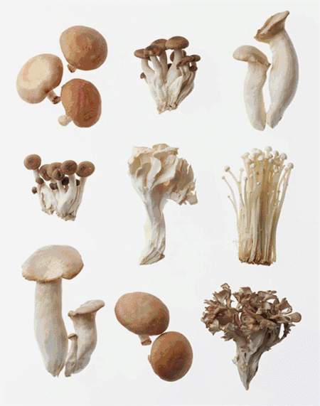 七大菇八大菌的季节,如何double你餐桌的鲜味?