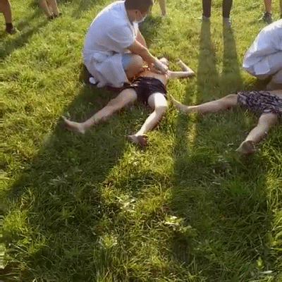 壁纸 动物 狗 狗狗 400_400 gif 动态图 动图