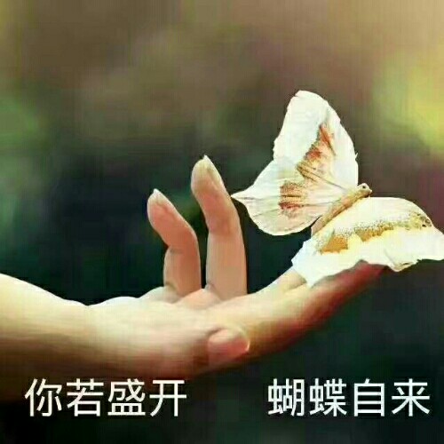 壹粉风生水起