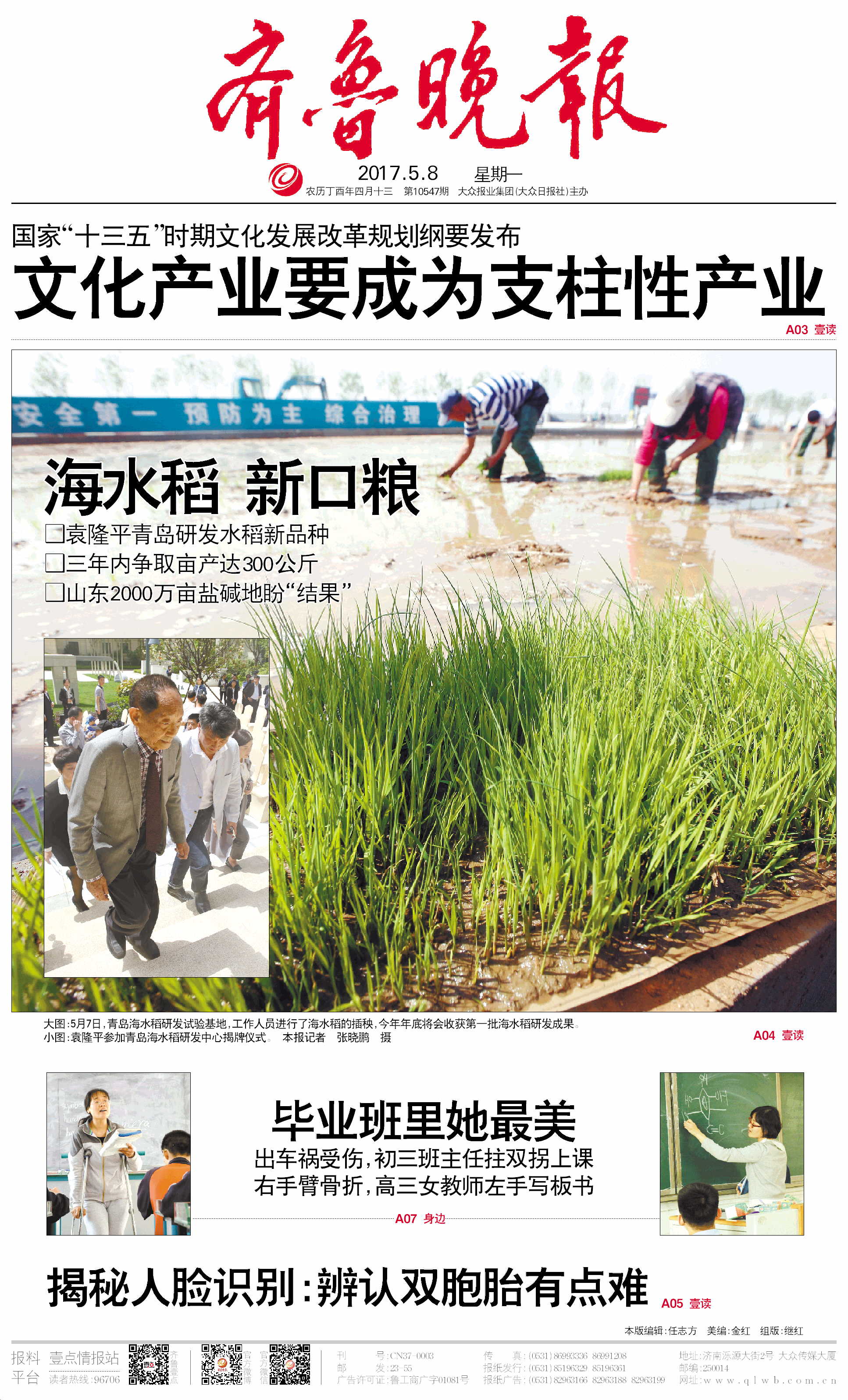 今年5月7日,青岛海水稻基地开始插秧,袁隆平院士在场,当时齐鲁晚报就