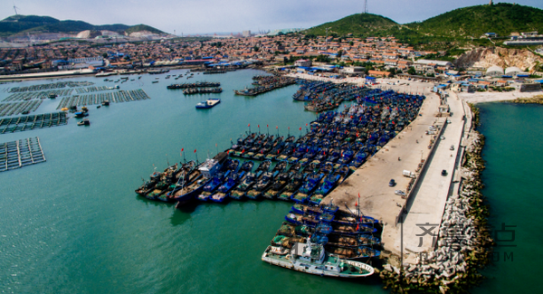 开海首日丨烟台千帆竞发出海捕鱼码头抢鲜实拍