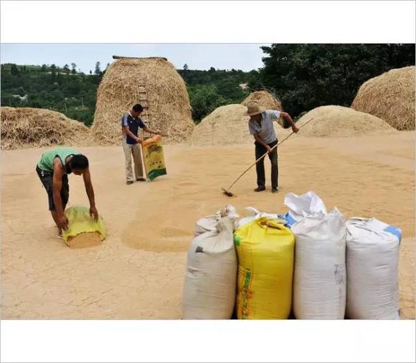 让我们一起回到20年前,回忆儿时的打麦场