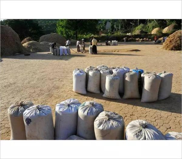 让我们一起回到20年前,回忆儿时的打麦场