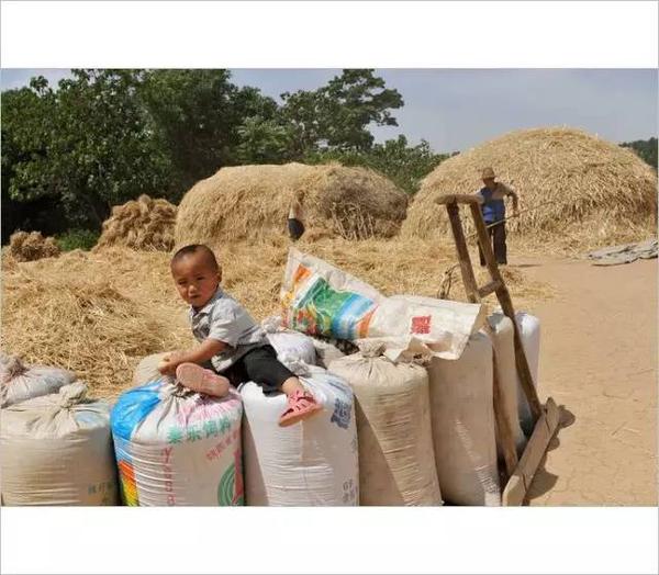 让我们一起回到20年前,回忆儿时的打麦场