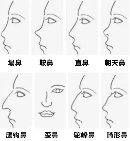 李雨桐的鼻子美过高磊鑫,看如何拥有完美的鼻子 !