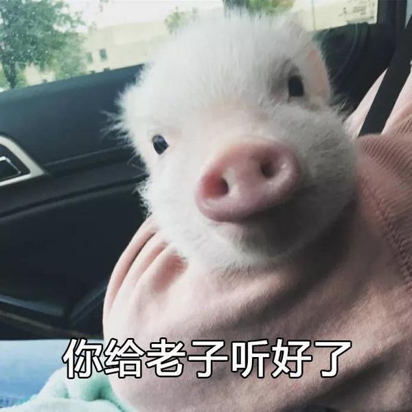 文字君: 怎么样 不远万里来看你的丑 惊不惊喜,意不意外?