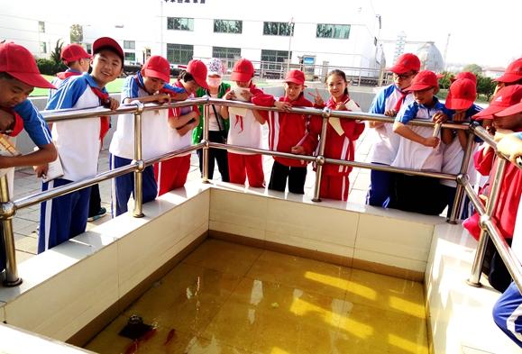 济宁污水处理厂提标升级,超标的顶格处罚