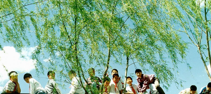 怀旧时光|80后农村小伙伴记忆里的夏日童年,超怀念