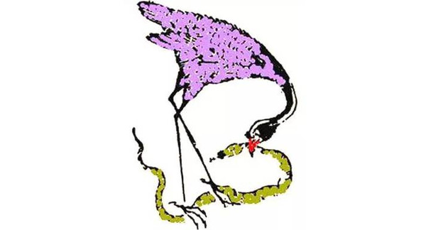 寻宝记|"饮鸩止渴"的鸩鸟居然代表长寿