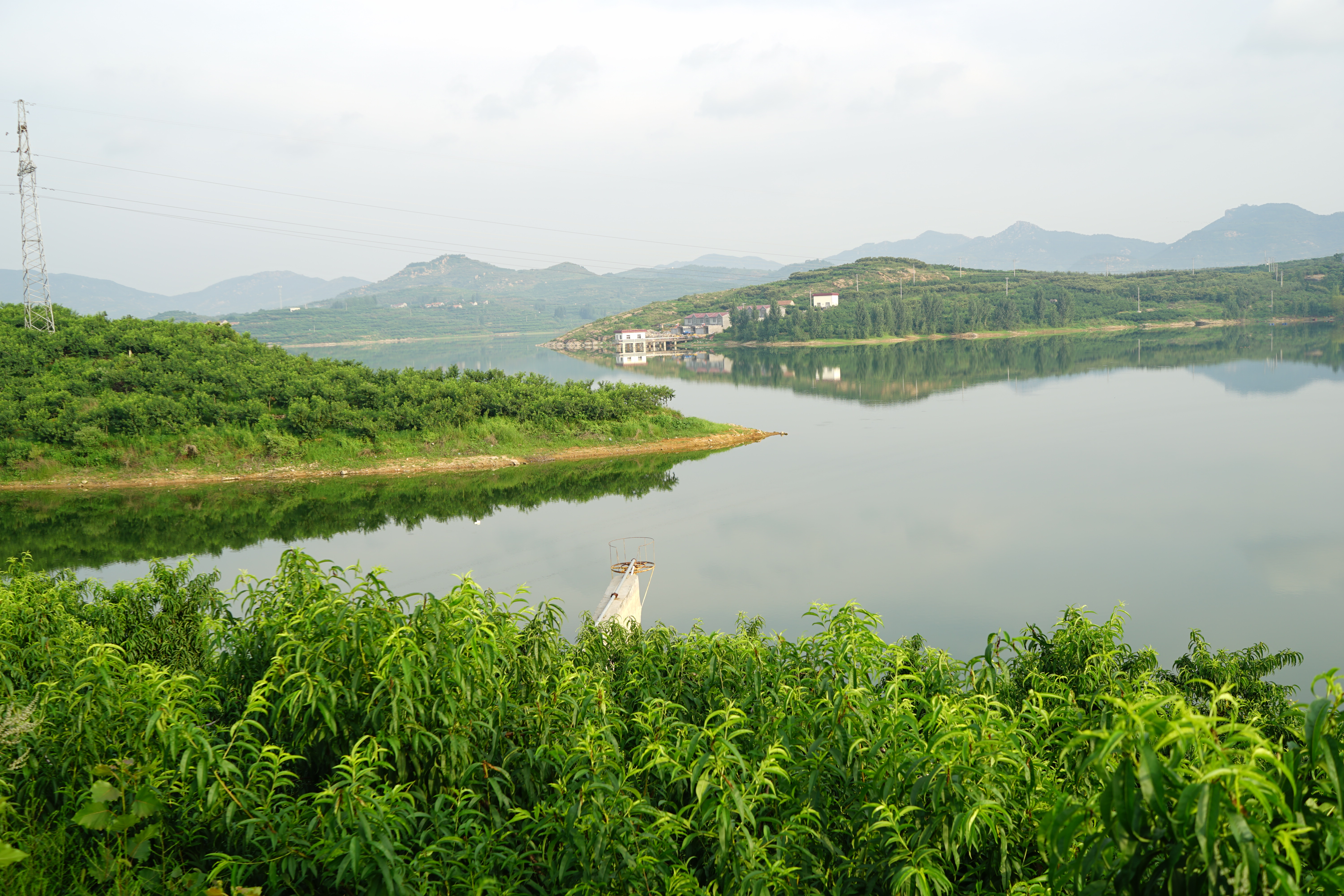 探源蒙阴蜜桃基地:桃甜,人好,环境美