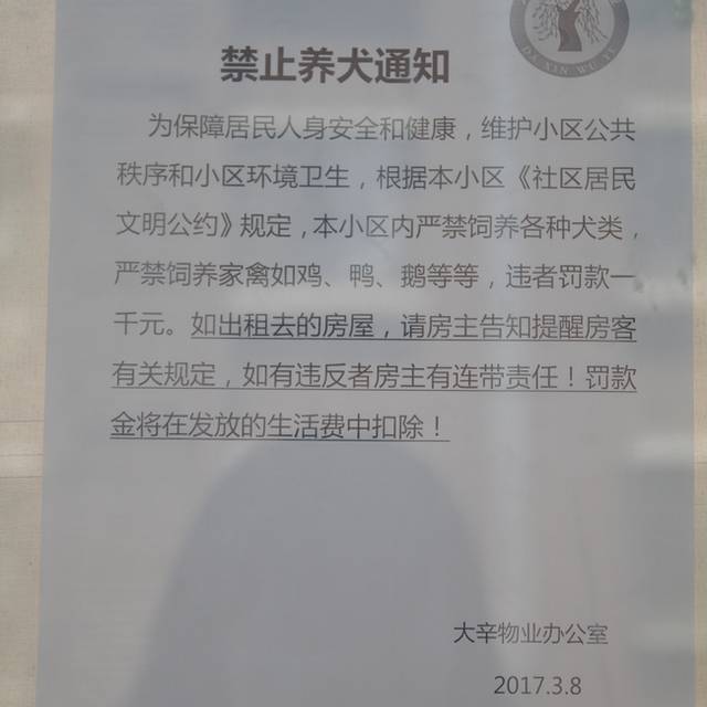 济南大辛庄因禁狗令陷舆论漩涡!物业:禁狗是全村意见